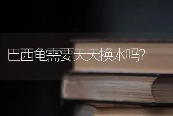 巴西龟需要天天换水吗？