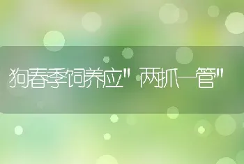 狗春季饲养应两抓一管