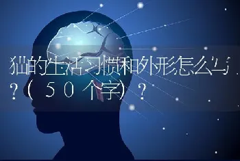 猫的生活习惯和外形怎么写?(50个字)？