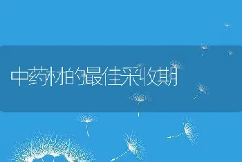 中药材的最佳采收期