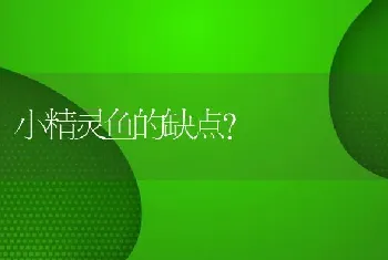 小精灵鱼的缺点？