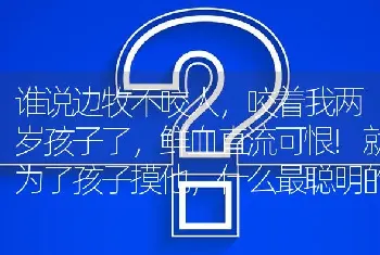 谁说边牧不咬人，咬着我两岁孩子了，鲜血直流可恨!就为了孩子摸他，什么最聪明的狗!再爱狗也不能忍？