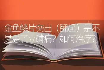 金鱼鳞片突出（翻起）是不是患了立磷病？如何治疗？