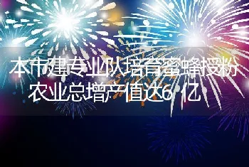 本市建专业队培育蜜蜂授粉农业总增产值达6亿