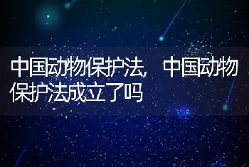 中国动物保护法，中国动物保护法成立了吗