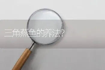 三角燕鱼的养法？