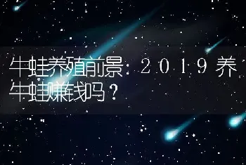 牛蛙养殖前景：2019养牛蛙赚钱吗？