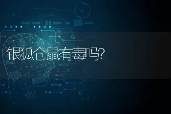 银狐仓鼠有毒吗？