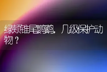 绿颊锥尾鹦鹉，几级保护动物？