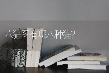 八猫图有哪八种猫？