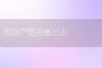 鹿茸产量提高三法