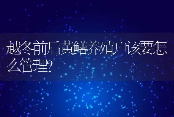 越冬前后黄鳝养殖户该要怎么管理？