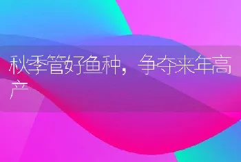 秋季管好鱼种，争夺来年高产