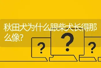 秋田犬为什么跟柴犬长得那么像？