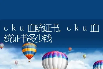 cku血统证书，cku血统证书多少钱