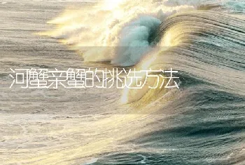 河蟹亲蟹的挑选方法