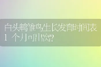 白头鹎雏鸟生长发育时间表1个月可出窝？