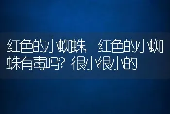 红色的小蜘蛛，红色的小蜘蛛有毒吗？很小很小的