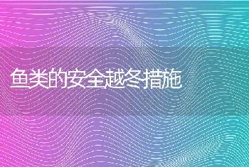 鱼类的安全越冬措施