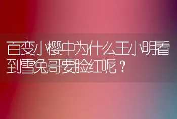 百变小樱中为什么王小明看到雪兔哥要脸红呢？