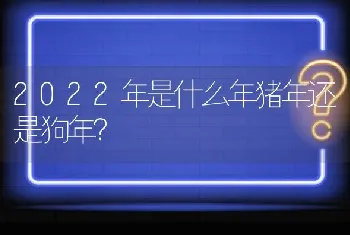 2022年是什么年猪年还是狗年？