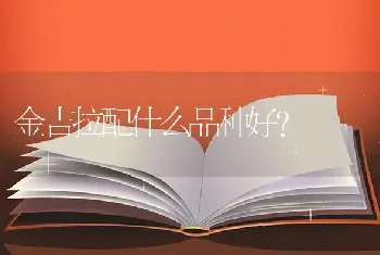 金吉拉配什么品种好？