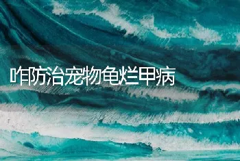 咋防治宠物龟烂甲病