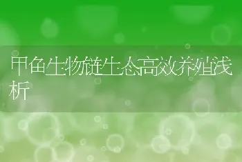 甲鱼生物链生态高效养殖浅析