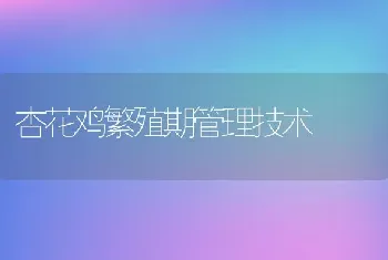 杏花鸡繁殖期管理技术