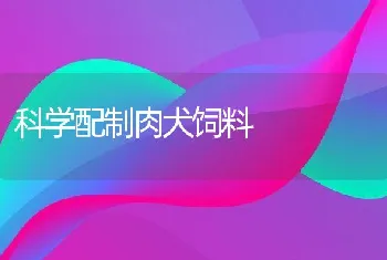 科学配制肉犬饲料