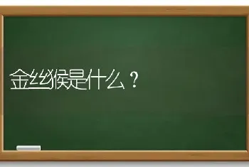 金丝猴是什么？