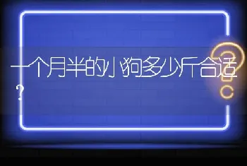 一个月半的小狗多少斤合适？