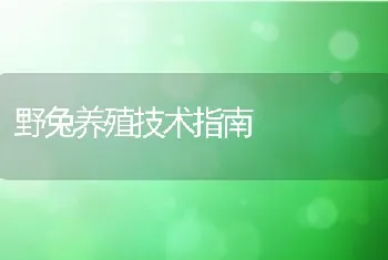 野兔养殖技术指南