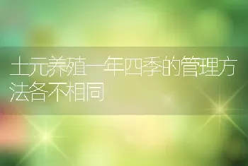 土元养殖一年四季的管理方法各不相同