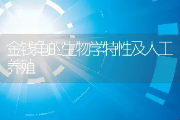 金钱龟的生物学特性及人工养殖