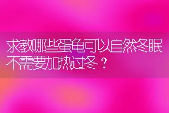 求教哪些蛋龟可以自然冬眠不需要加热过冬？