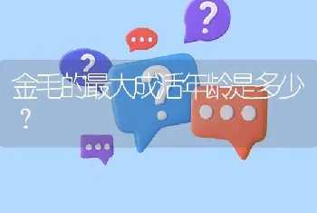 金毛的最大成活年龄是多少？