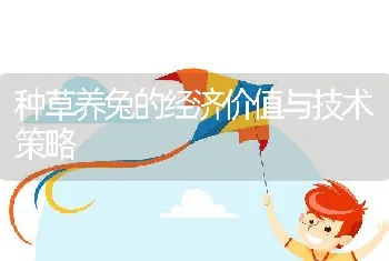 种草养兔的经济价值与技术策略