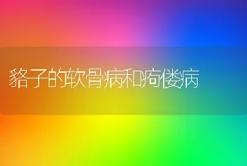 貉子的软骨病和痀偻病