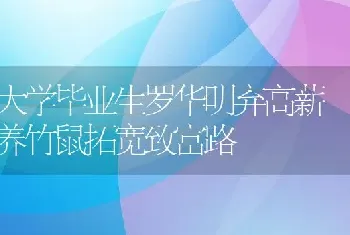 大学毕业生罗华明弃高薪 养竹鼠拓宽致富路