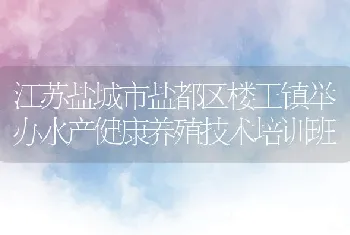 江苏盐城市盐都区楼王镇举办水产健康养殖技术培训班