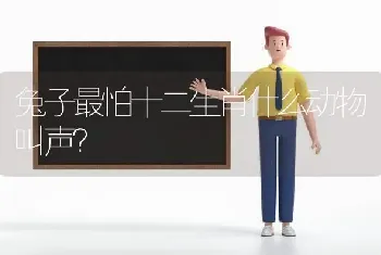 狗狗耳朵和眼眶周围的毛有点发红是怎么回事？