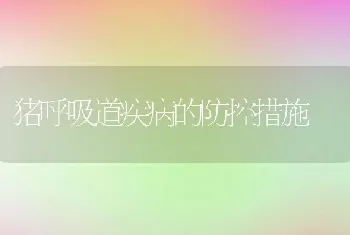 猪呼吸道疾病的防控措施