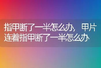 指甲断了一半怎么办，甲片连着指甲断了一半怎么办