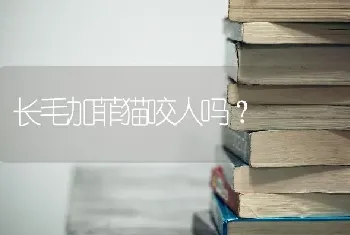 泰迪和比熊的串串怎么养？