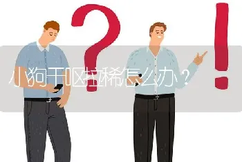 小狗干呕拉稀怎么办？