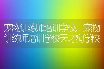 宠物训练师培训学校，宠物训练师培训学校天才狗学校