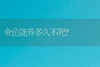 金鱼能养多久不死？