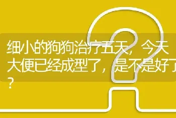 细小的狗狗治疗五天，今天大便已经成型了，是不是好了？