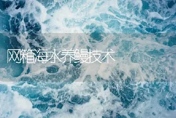 网箱海水养鳗技术